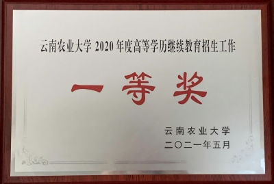 16农大教育招生工作 一等奖（2021.5）.jpg