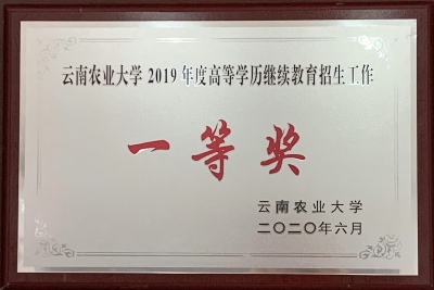13农大 教育招生工作 一等奖（2019.6）.jpg